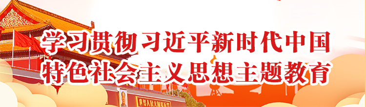 学习贯彻习近平新时代中国特色社会主义思想主题教育